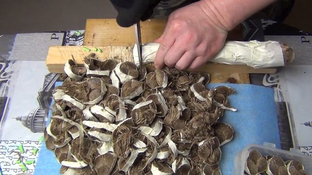 Тест #4. "Цыганская" заточка. Заточка с разной гритностью по сторонам. смотреть онлайн