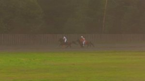 Зрелищные женские скачки на лошадях, 1600 метров - Вельск 2023