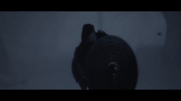 Viking Rise x Peyton Parrish MV