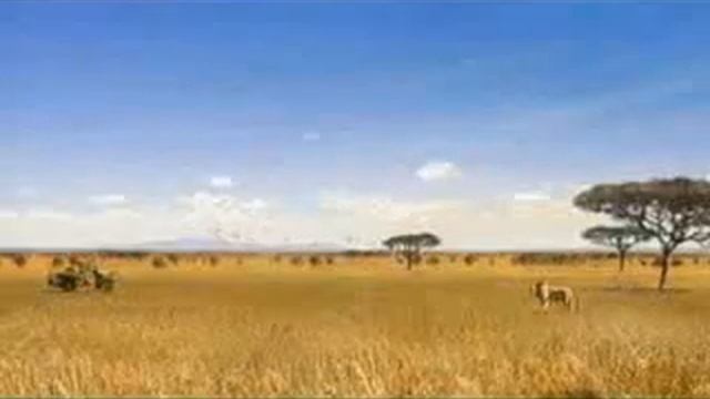 zoom olympus смотреть онлайн