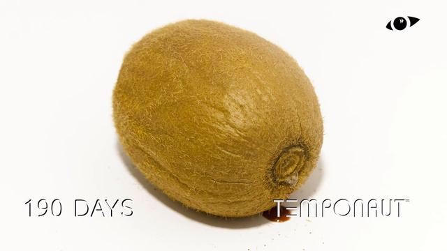 Kiwi 401 Days