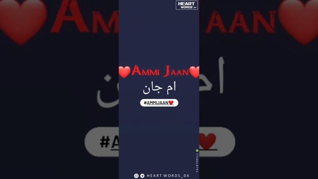 Ammi Jann❤️❤️