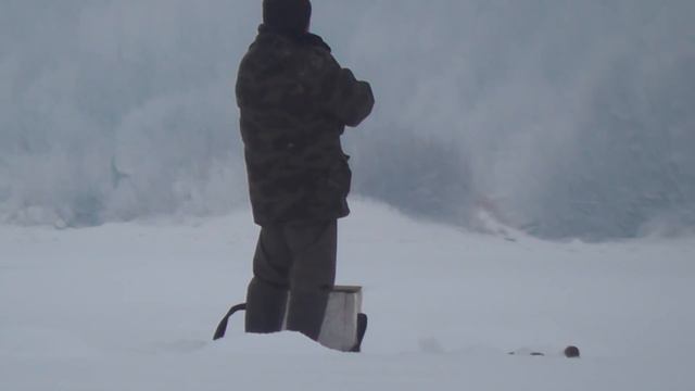 Попал на КОСЯК! Шустрые рыбёхи радуют поклёвками! Полный отрыв - Болен Рыбалкой №611 смотреть онлайн