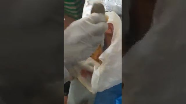 Телефон в голубцах пытались передать в СИЗО Павлодара смотреть онлайн