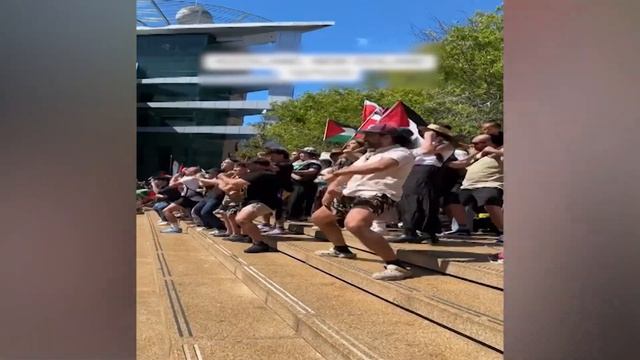 MAORIS DANCERS SUPPORT PALESTINE NAT смотреть онлайн