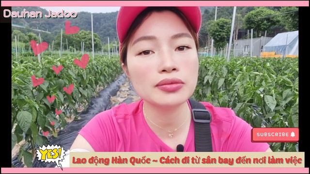 Lao động Hàn Quốc ~ Giao thông, Cách đi từ sân bay đến nơi làm việc ~ taxi hay BUS GIÁ RẺ смотреть онлайн