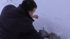 VLOG: ЛОВЛЮ РАКОВ ЗИМОЙ?! ЭТО ЖЕСТЬ! / Виталий Зеленый