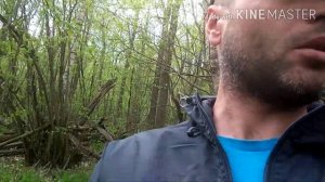 Как найти старую дорогу в лесу