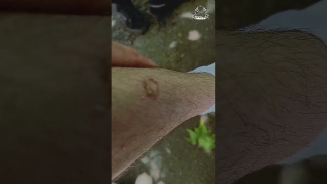 Открвтие мотосезона в Сочи смотреть онлайн