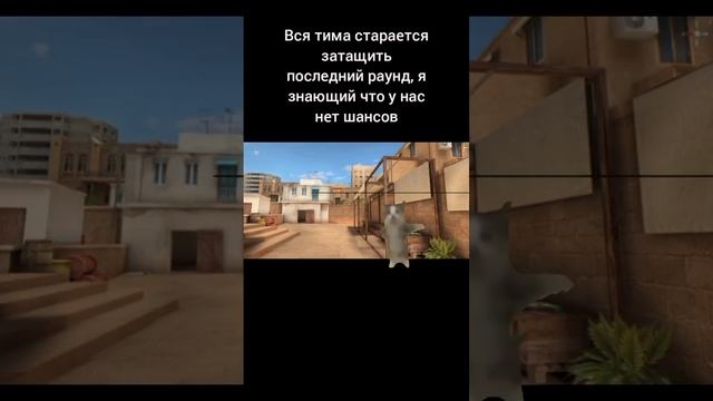 кот попадает в бит смотреть онлайн
