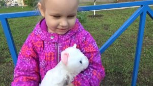 Как Алиса ходит на развивающие занятия для детей