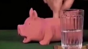 Гоблин и свиньи