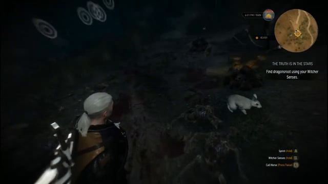 Witcher 3 - Quest - The Truth is in the Stars смотреть онлайн