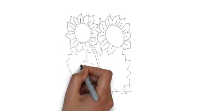как нарисовать подсолнух,how to draw a Sunflower,cómo dibujar un girasol,tournesol смотреть онлайн
