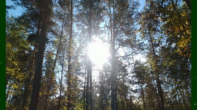 СНЫ-ПРОКУРОРЫ