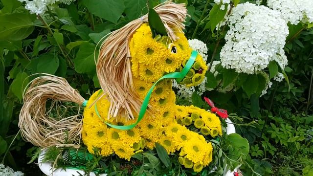 Лошадка из живых цветов смотреть онлайн