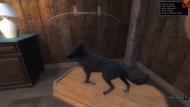 TheHunter Classic - My Trophy Lodges - Part 1 смотреть онлайн