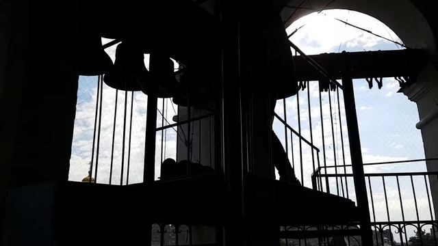 Данилов монастырь. Трезвон к всенощному бдению #1. смотреть онлайн