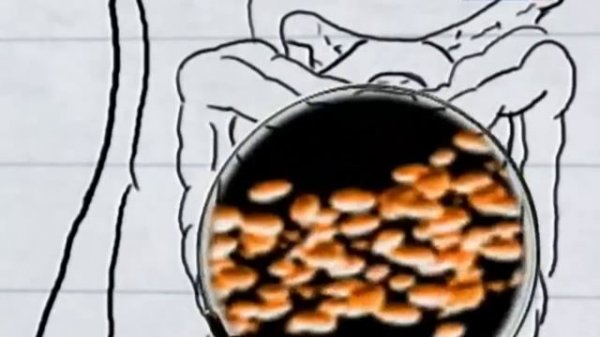 Забавная наука #39 - Backyard Science #39