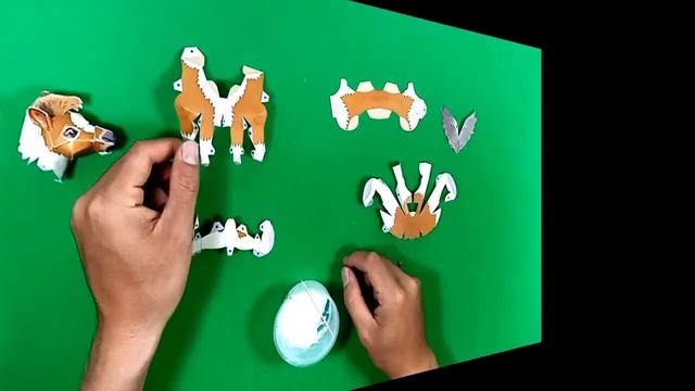 Falabella Miniature Horse Papercraft (Animal Papercraft)