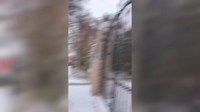 Zeboraximova Kulguli Videolar Toʻplami ???????#zeboraximova #umidvines