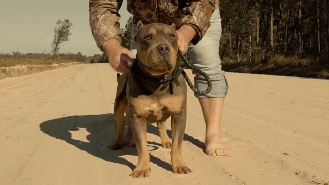 Bottleneck "Still Ridin" (Official Music Video) смотреть онлайн