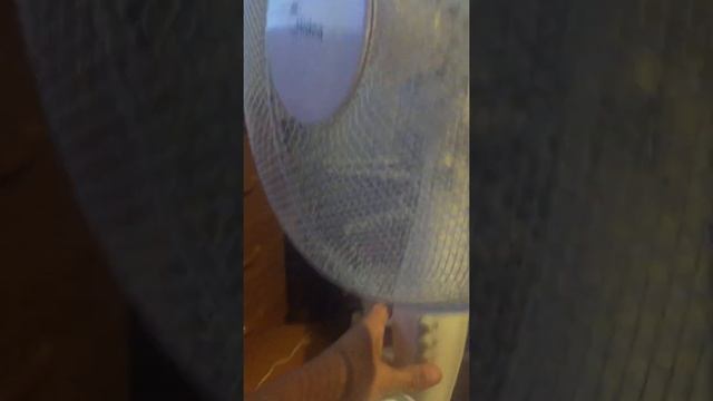 Чисто по фронту)) дома смотреть онлайн
