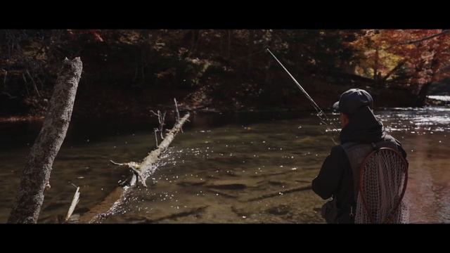 NEW 2022 SHIMANO 22 STELLA Promo Video смотреть онлайн