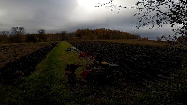 ОРАНКА СТЕРНІ СИДЕРАТІВ НА ЗИМУ. смотреть онлайн