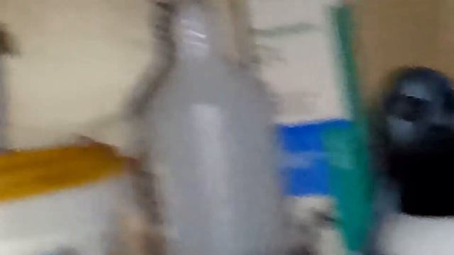 непонятное инопланетное существо! смотреть онлайн