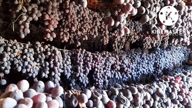 Уроки Живописи