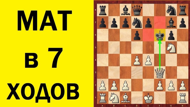 Шахматы. СТРАШНАЯ ДЕБЮТНАЯ ЛОВУШКА! МАСТЕРА ПОЛУЧАЮТ МАТ... или ЖБАН смотреть онлайн