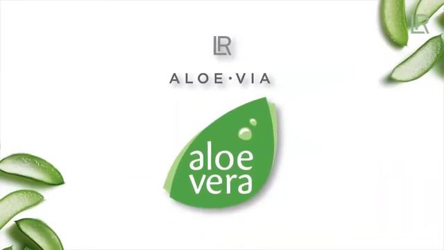 Производства продуктов LR, основные направления смотреть онлайн
