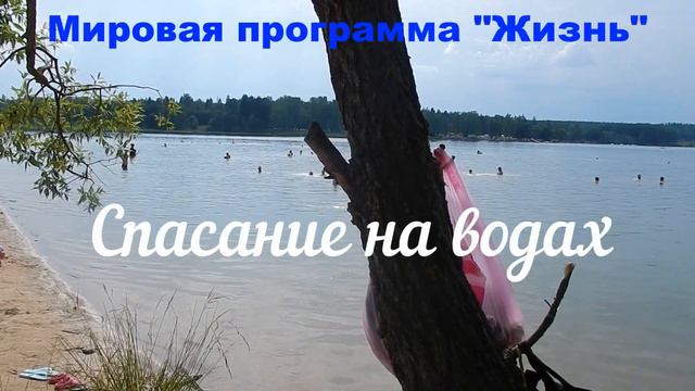 Мировая программа Жизнь смотреть онлайн