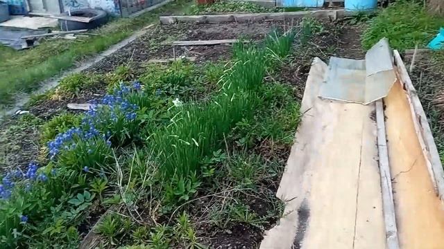 8. Spа - салон. Садовые цветы смотреть онлайн