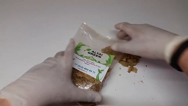 Хмель - польза и применение шишек хмеля. смотреть онлайн