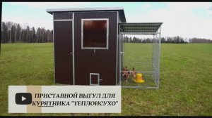 Лучшие выгулы для домашней птицы. Выгулы для кур. Выгул "Разгуляй" для курятника "Неделя без забот"