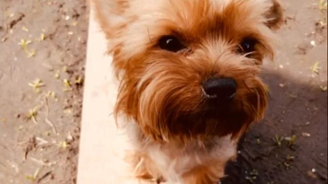 надень наушники и кайфуй??? смотреть онлайн