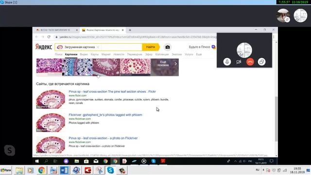 СЕЧЕНОВА ОЛИМПИАДА