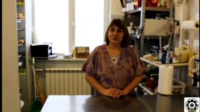 СПО Успех (Ветеринария) смотреть онлайн