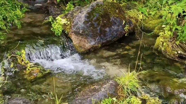 День Илии пророка в Ильинском. смотреть онлайн