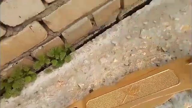 Золотой самокат смотреть онлайн
