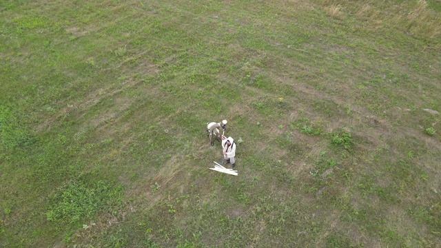 Полевой контроль