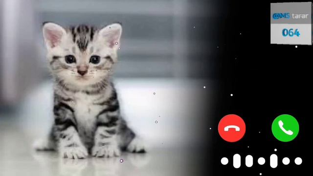 New Ringtone2024|| Best Ringtone 👌👌👌|| lovely Ringtone 2024 смотреть онлайн