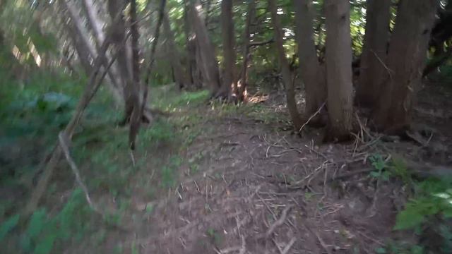 DRONE CATCHES PENNYWISE AT HAUNTED TUNNEL!! (HE TOOK MY DRONE!!) смотреть онлайн