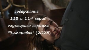 Содержание 113 и 114 серий турецкого сериала "Зимородок" (РФ, 2023)