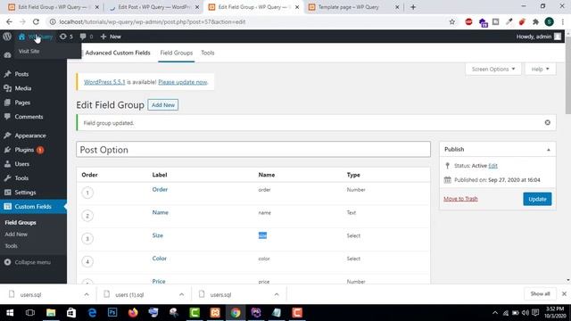 WordPress WP_Query beginners Tutorial in Hindi/Urdu (Part #9) смотреть онлайн