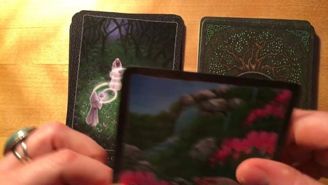 Walkthrough the Earth Wisdom Oracle смотреть онлайн