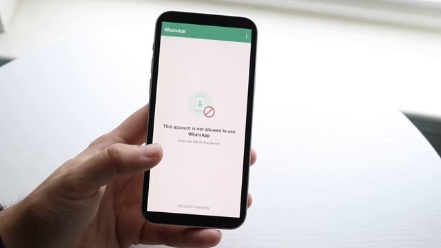 How To FIX WhatsApp Account Banned Due To Spam! смотреть онлайн