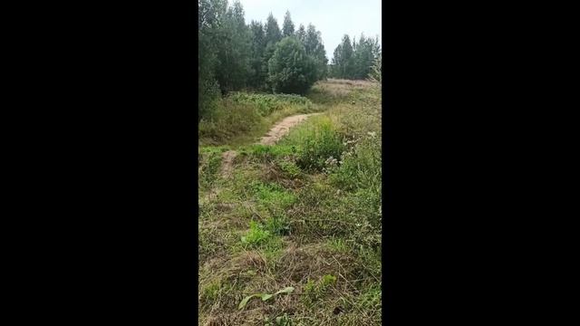 Koshine 85, китайский KTM. смотреть онлайн